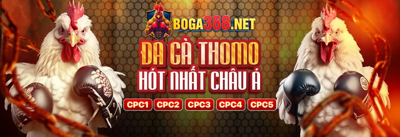 Đá gà trực tuyến i8bet